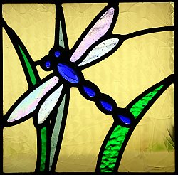 Dragonfly detail from stained glass window